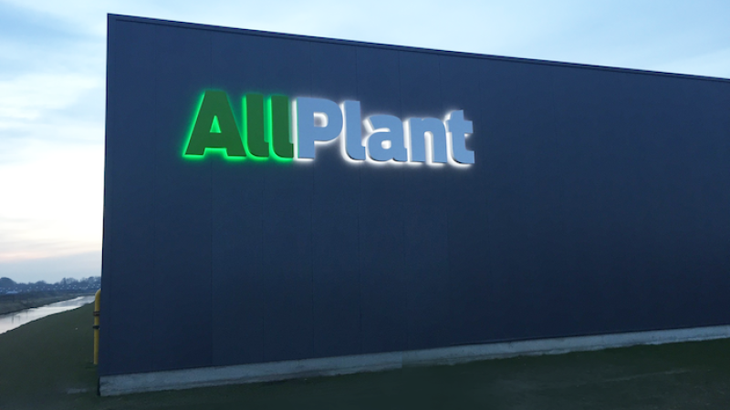allplant-lichtreclame-stoop